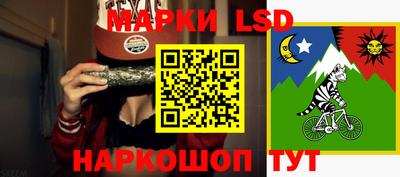СК Вышний Волочёк