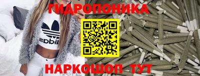 СК Вышний Волочёк