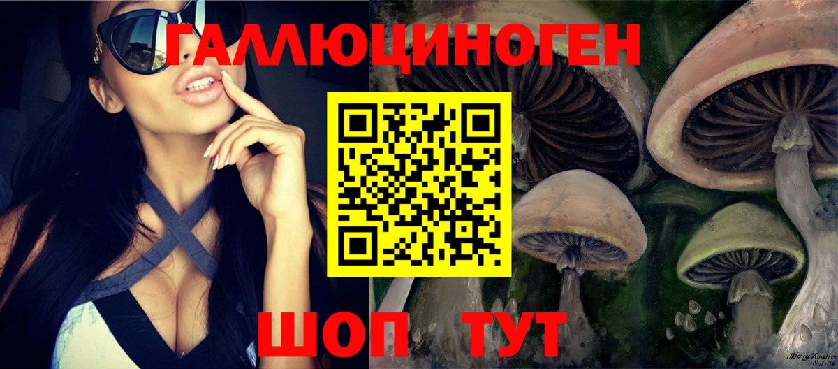 Псилоцибиновые грибы Cubensis Воркута