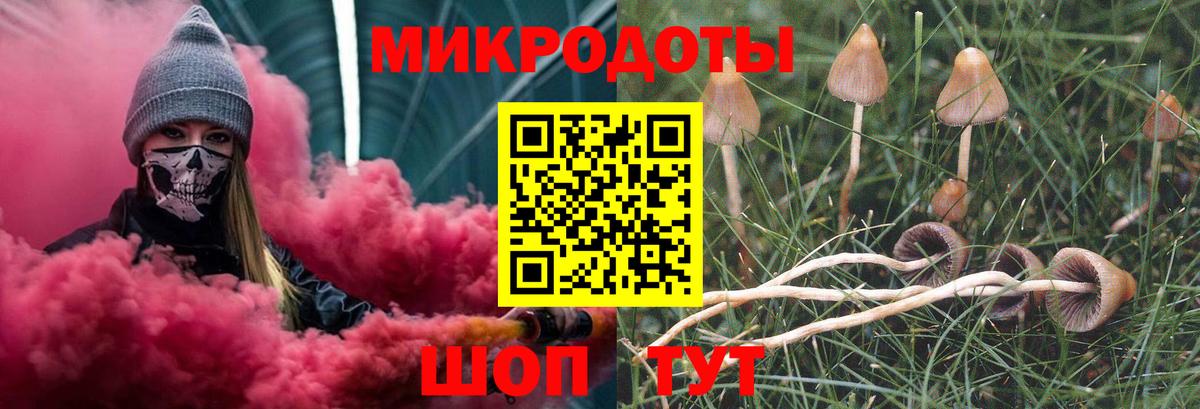 Воркута  Галлюциногенные грибы ЛСД  Вход с VPN 